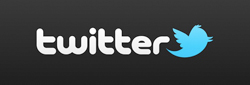 twitter-logo-rectangle-250px